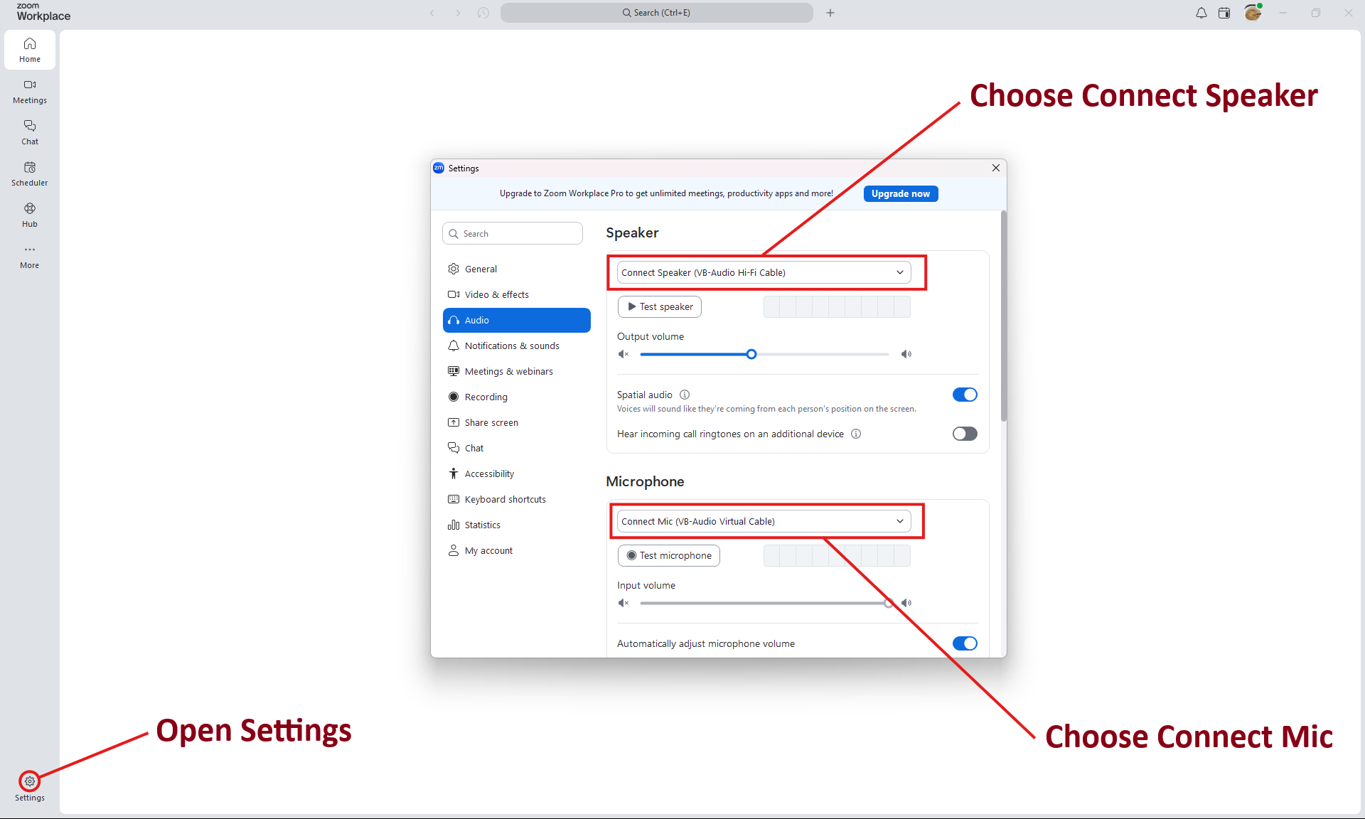 Zoom audio settings with Connect Mic and Connect Speaker selected